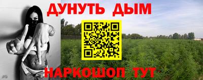 гидра Жуковский