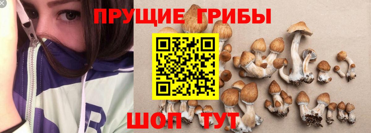 Златоуст  Галлюциногенные грибы прущие грибы  Вход с VPN  Галлюциногенные грибы Magic Shrooms 