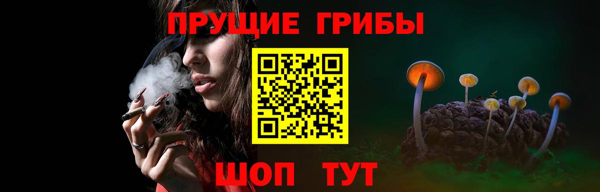 Галлюциногенные грибы мицелий Златоуст